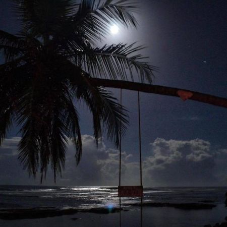 Hotel Casa Vito Beachfront Puerto Viejo de Talamanca Exteriör bild