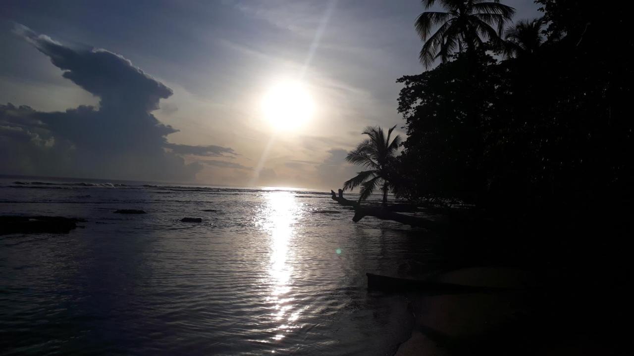 Hotel Casa Vito Beachfront Puerto Viejo de Talamanca Exteriör bild