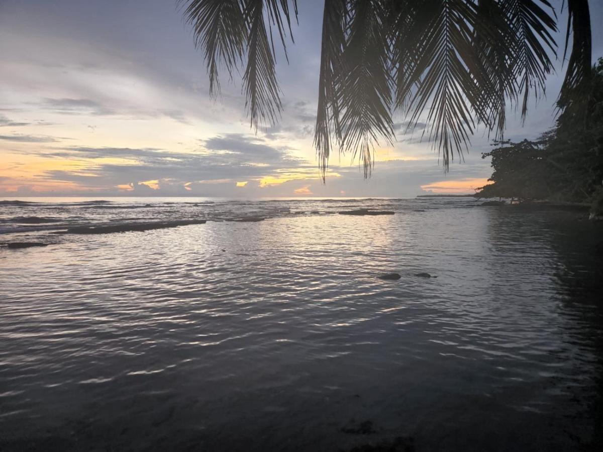 Hotel Casa Vito Beachfront Puerto Viejo de Talamanca Exteriör bild