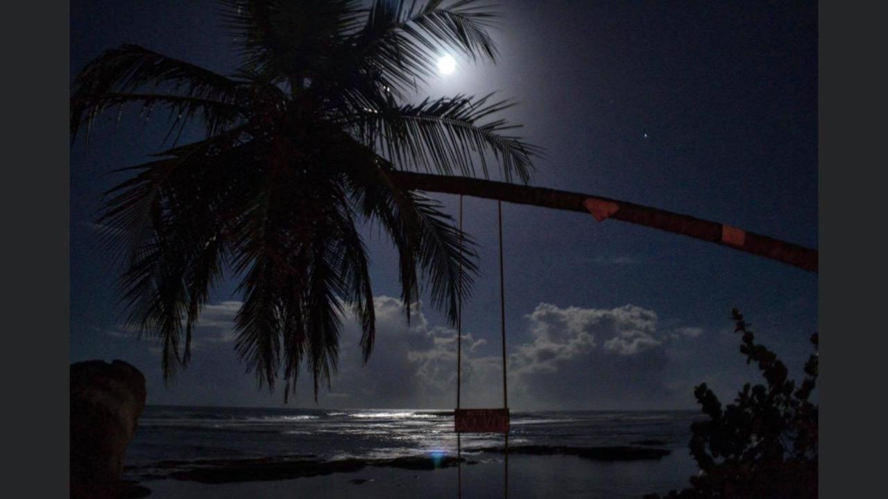 Hotel Casa Vito Beachfront Puerto Viejo de Talamanca Exteriör bild